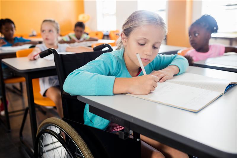 Educational scholarship programme support